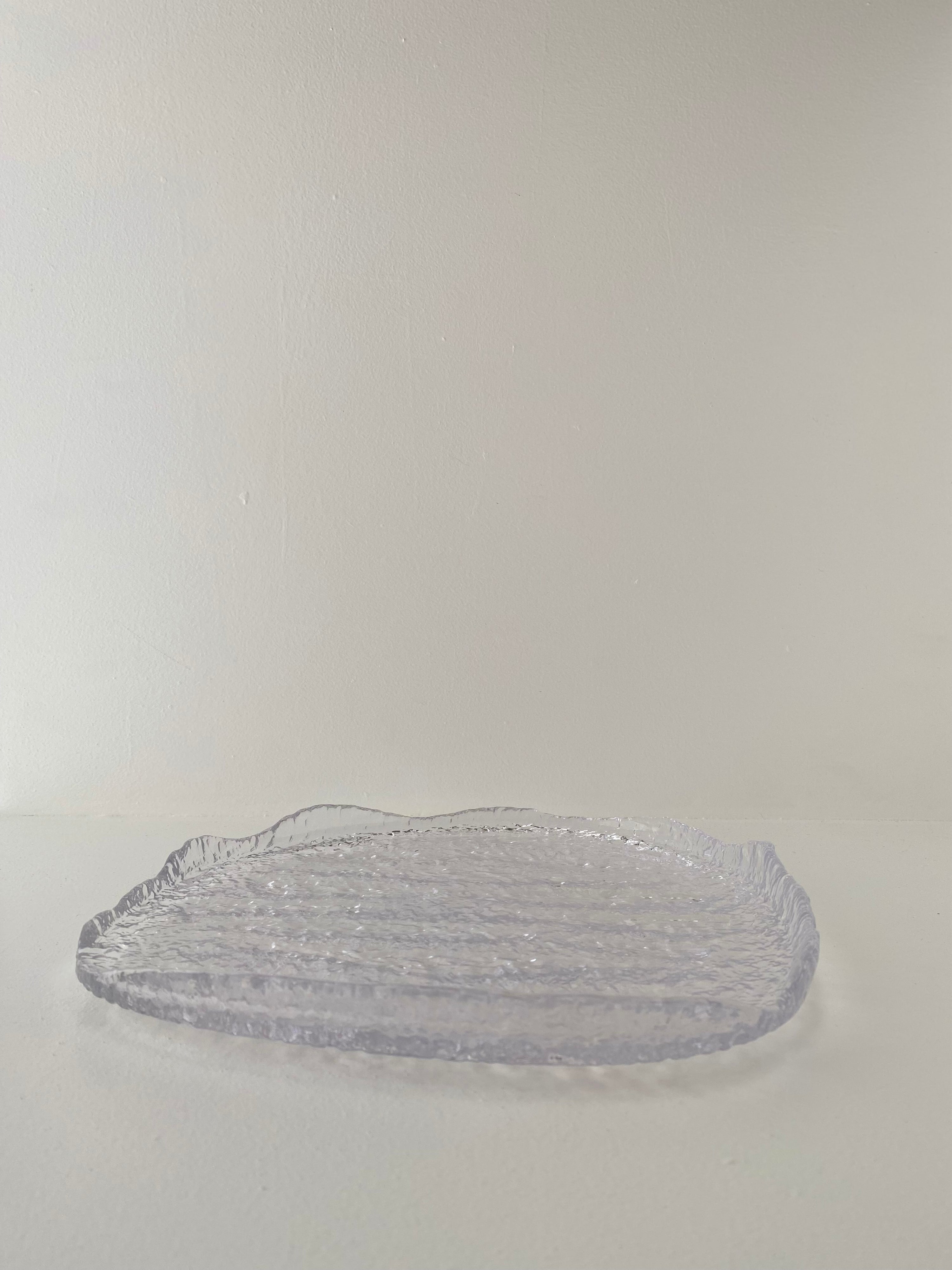 ICE dinner plate/tray