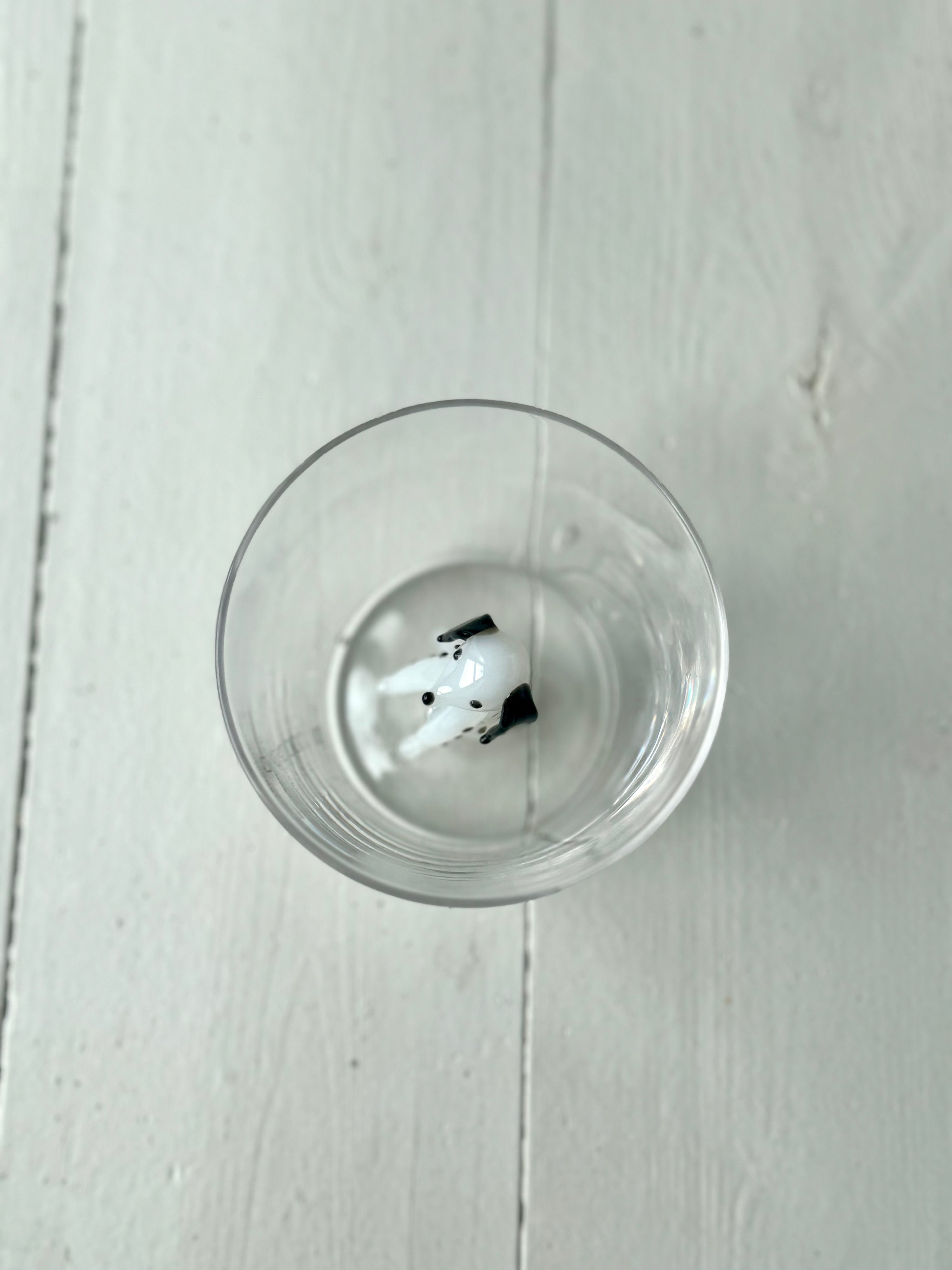 ANIMAL FARM tumbler Dalmata