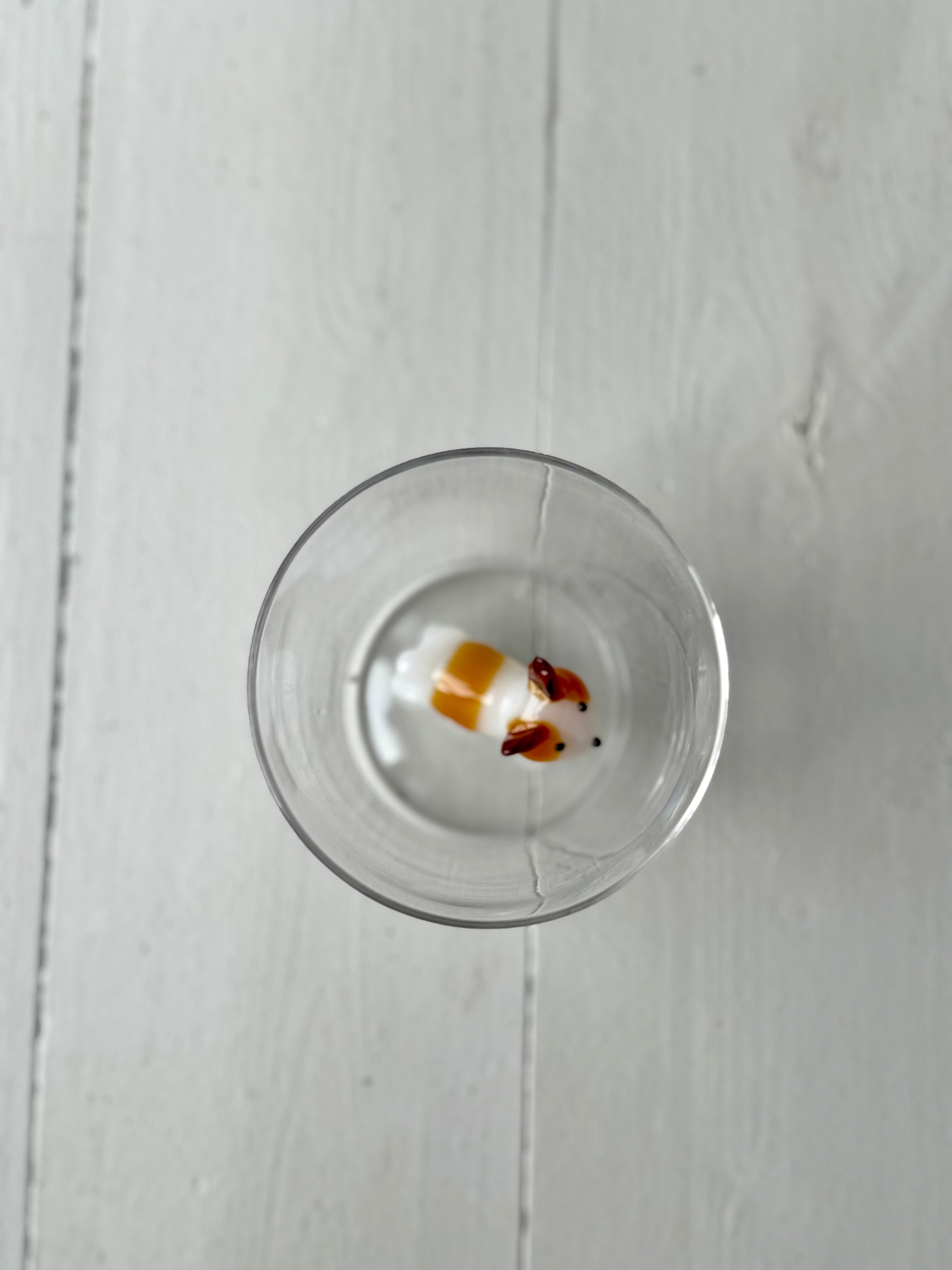 ANIMAL FARM tumbler French Bulldog