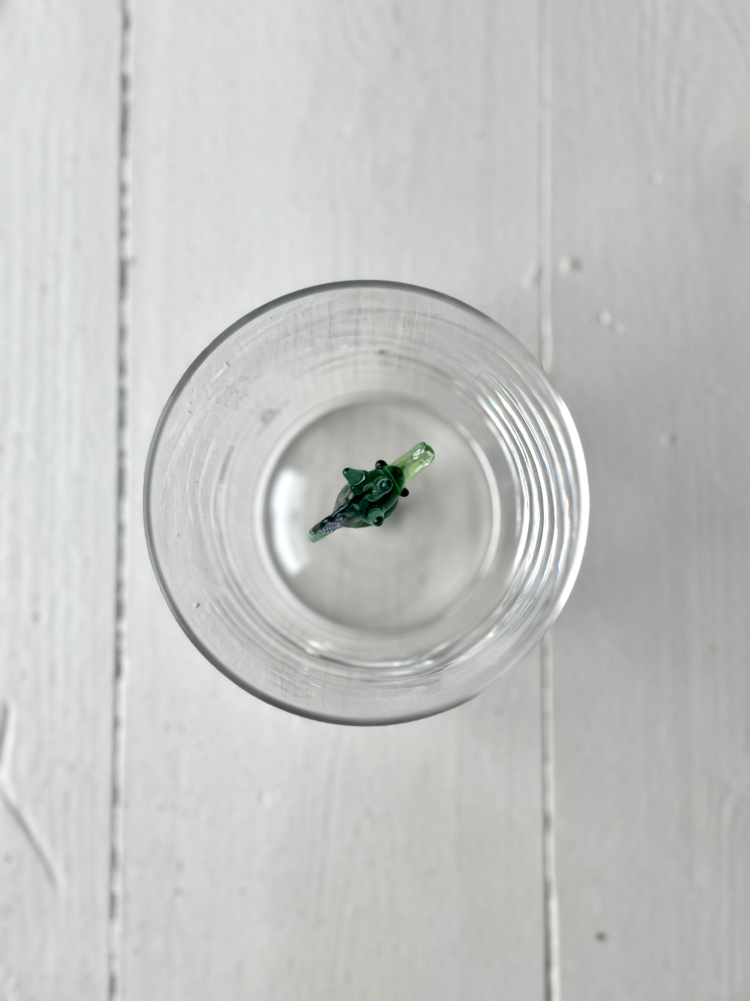 ANIMAL FARM tumbler Seahorse Green