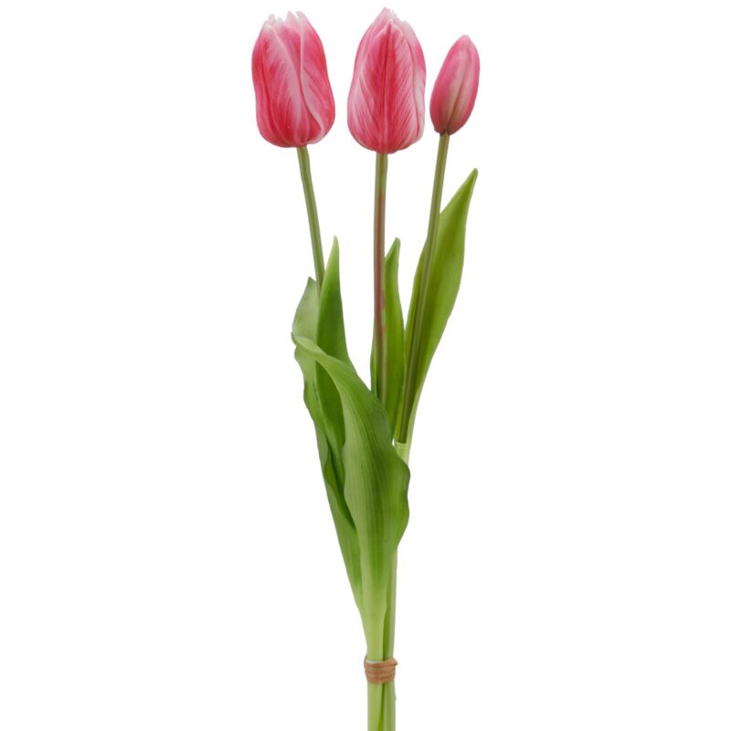Tulipaner i bundt - Pink