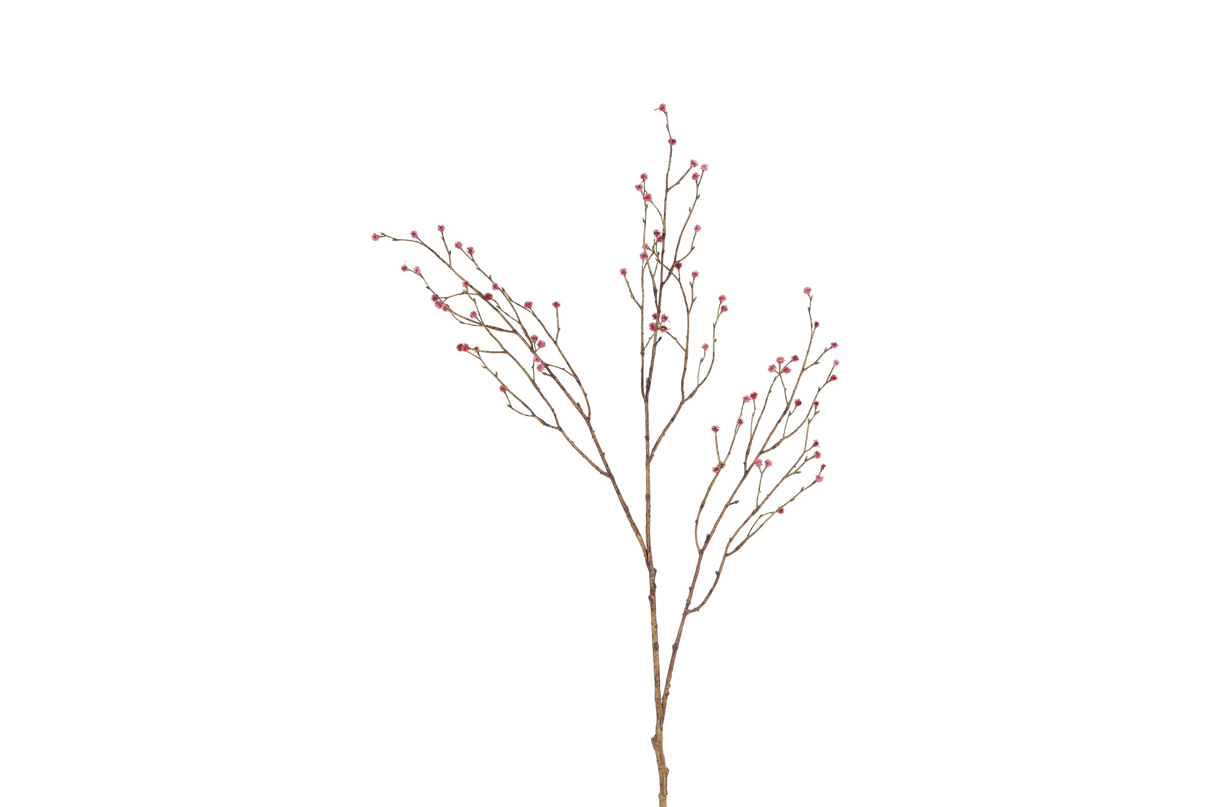 Mandstro gren - Rosa