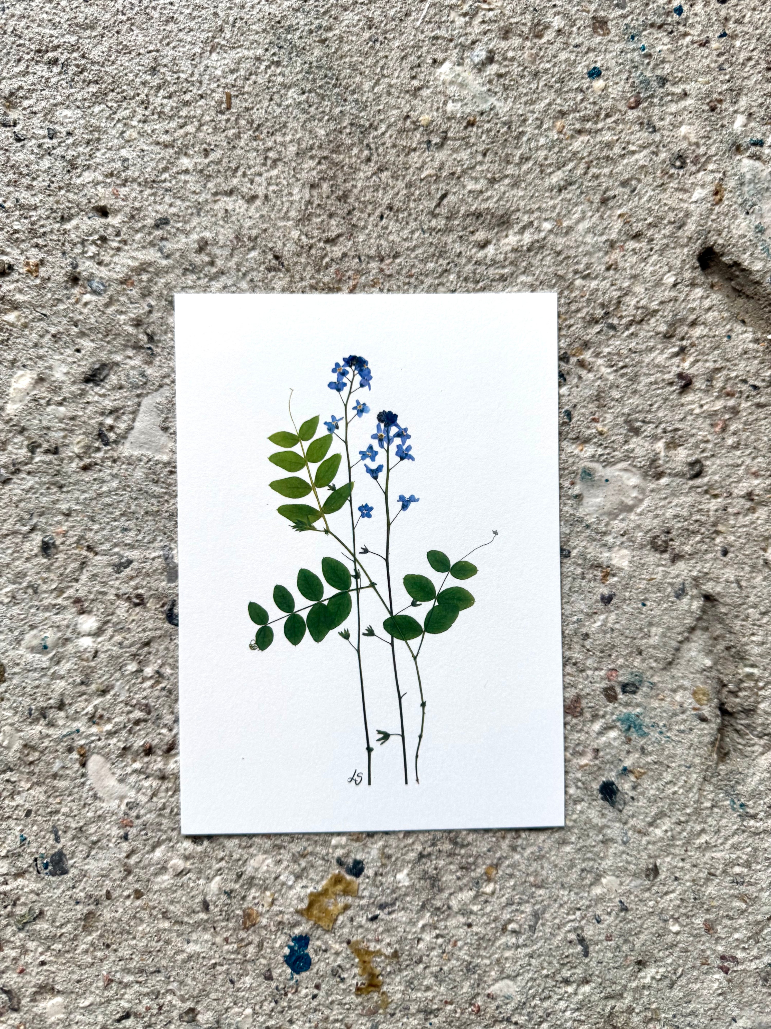 Blomsterprint A6 kort - 10