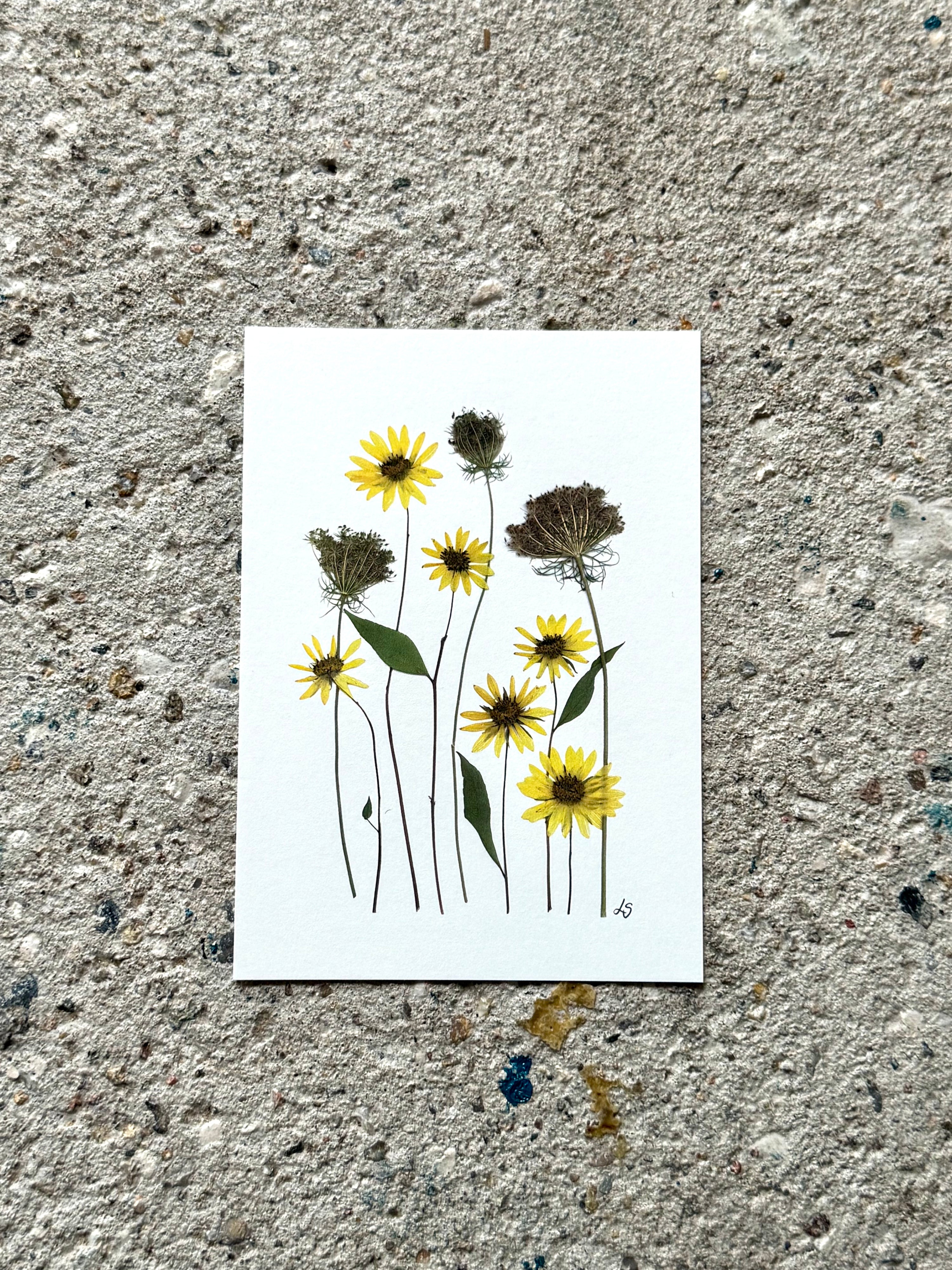 Blomsterprint A6 kort - 11