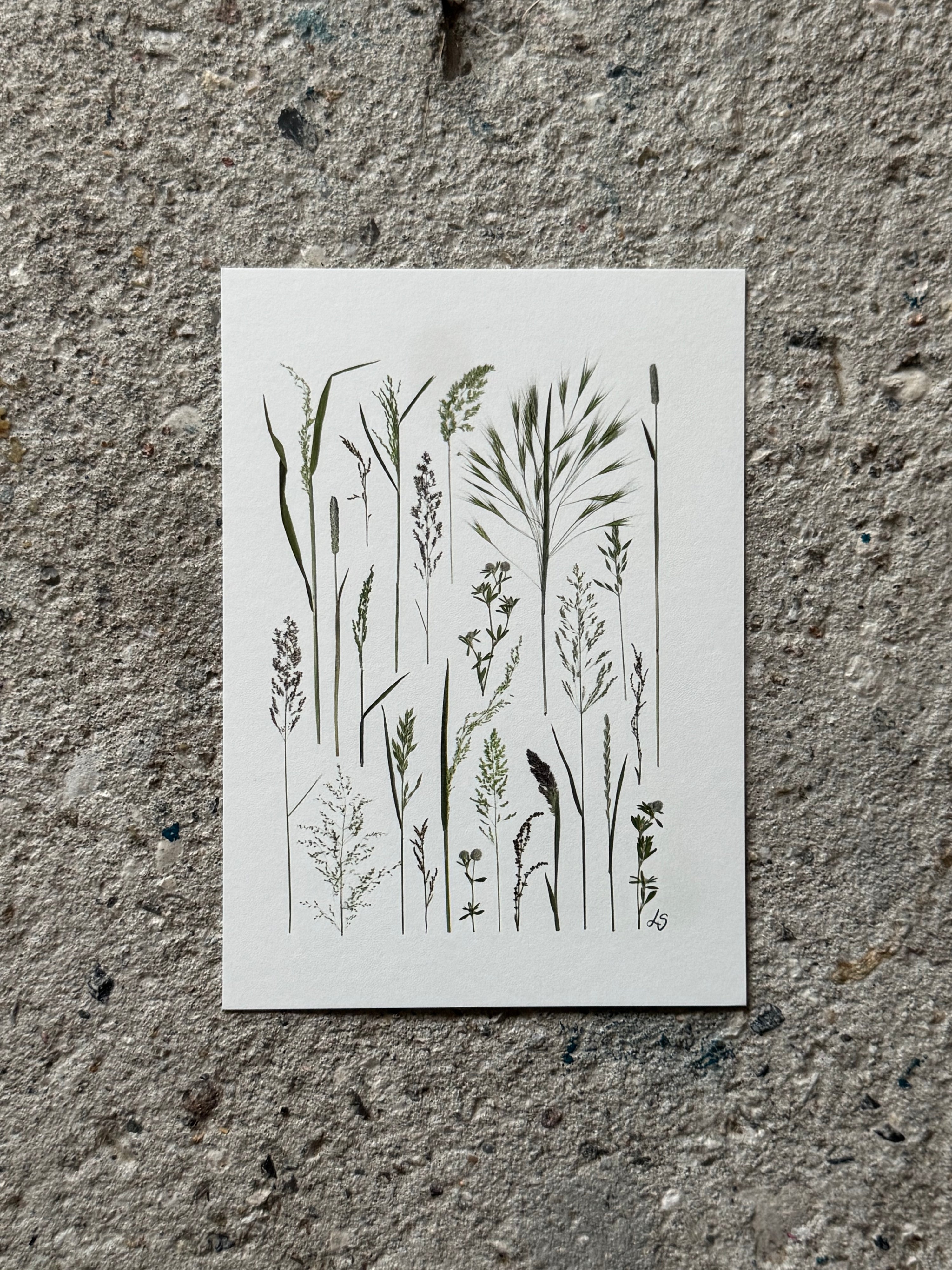 Blomsterprint A6 kort - 13