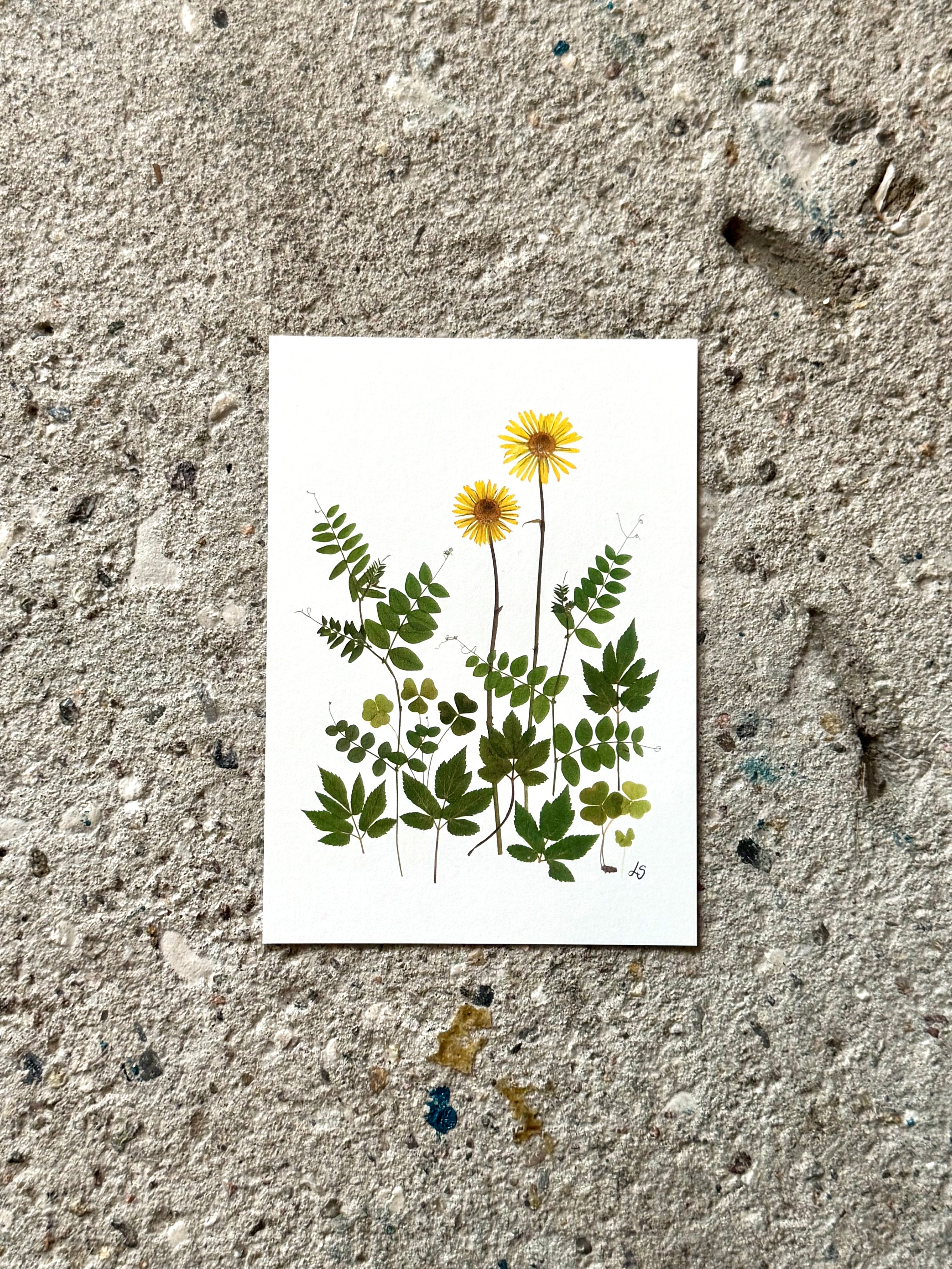Blomsterprint A6 kort - 14
