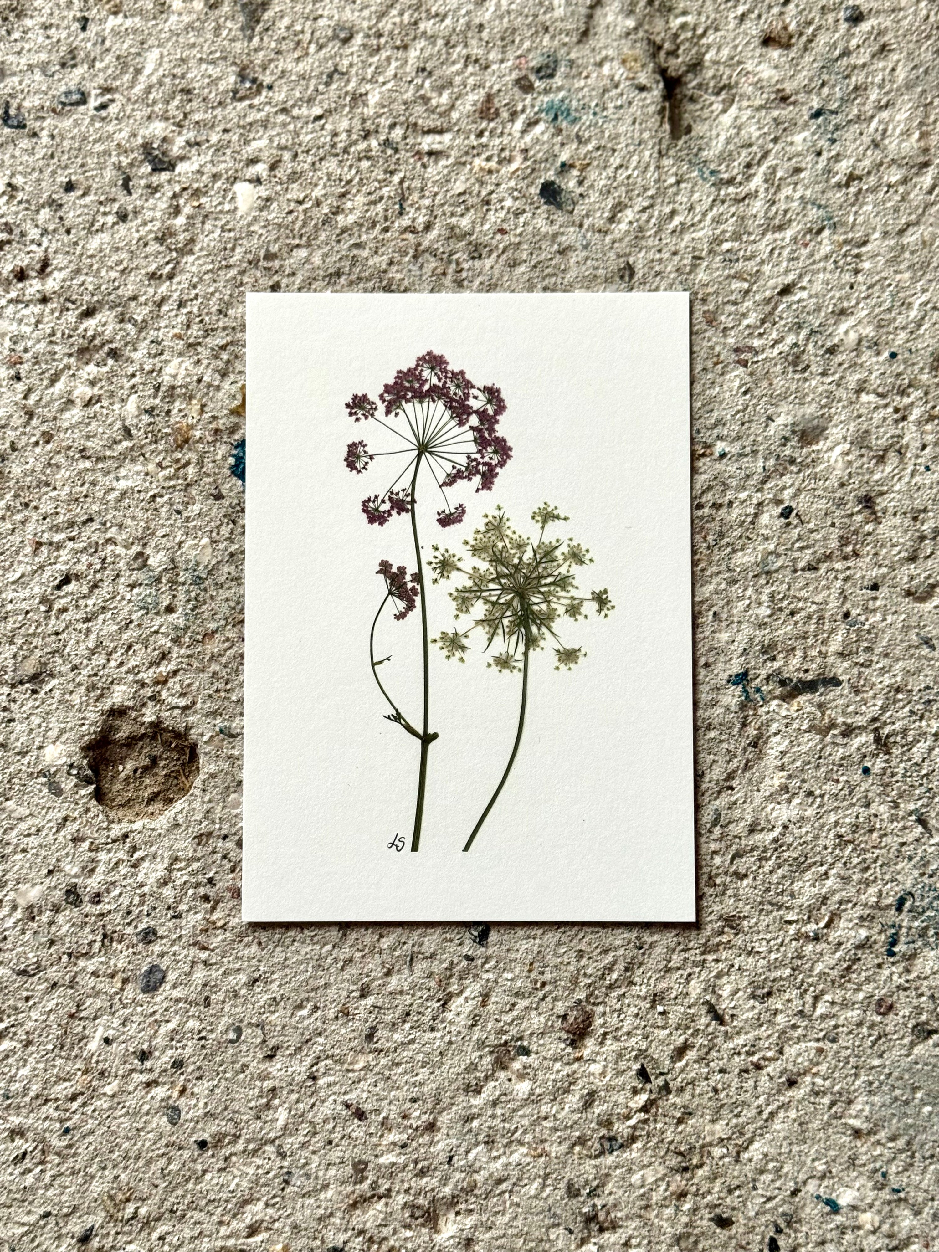 Blomsterprint A6 kort - 18