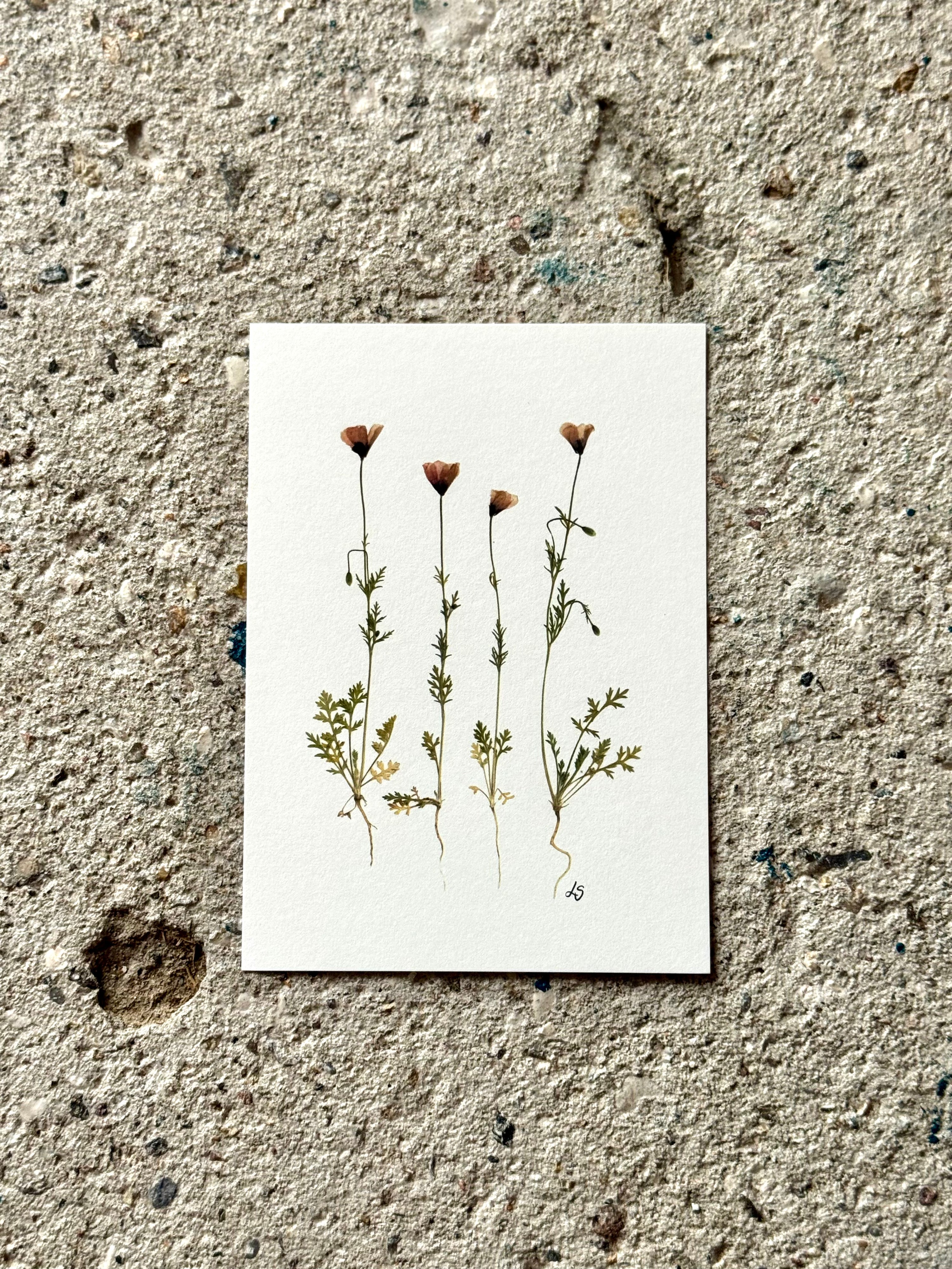 Blomsterprint A6 kort - 19