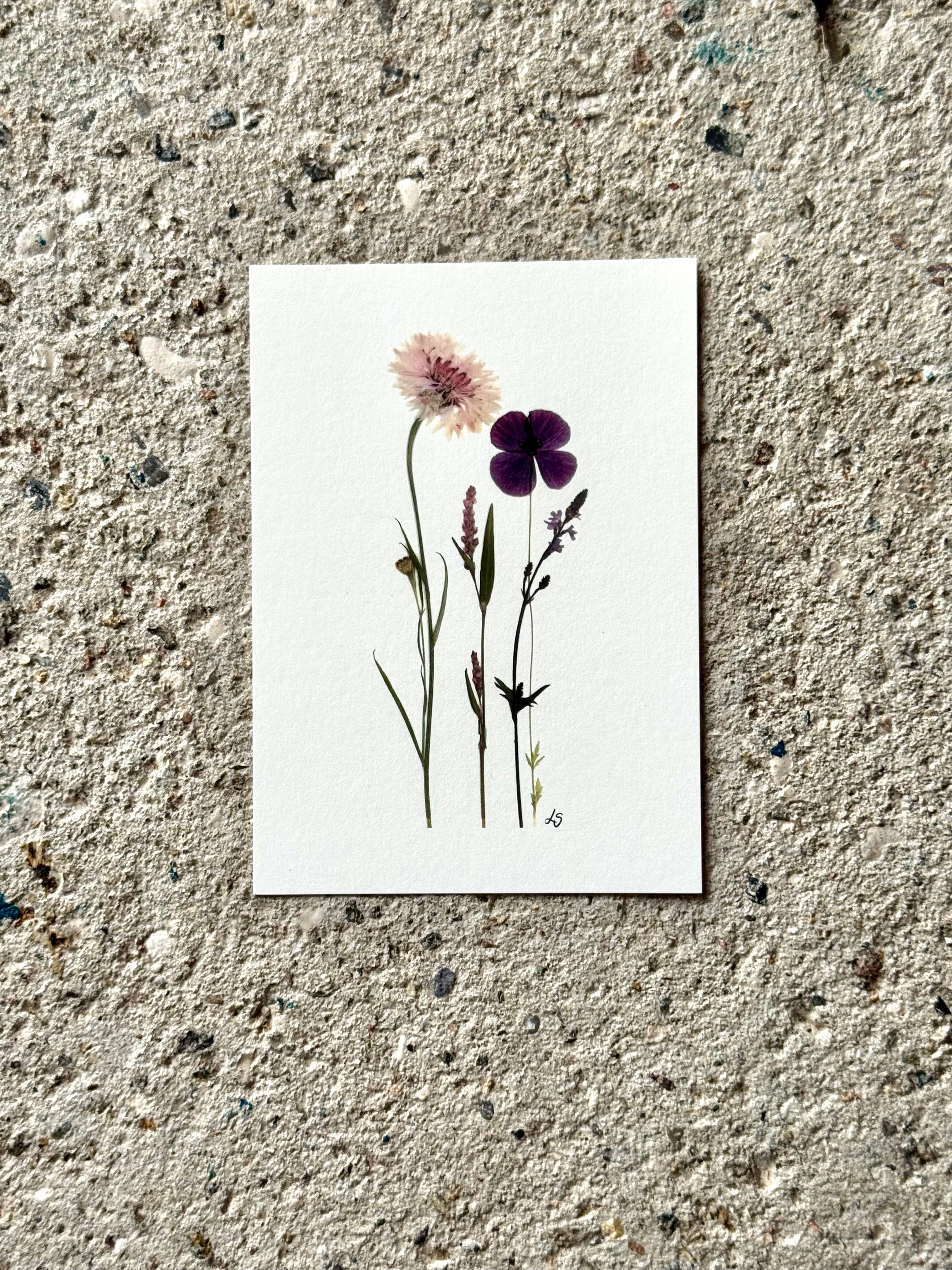 Blomsterprint A6 kort - 20