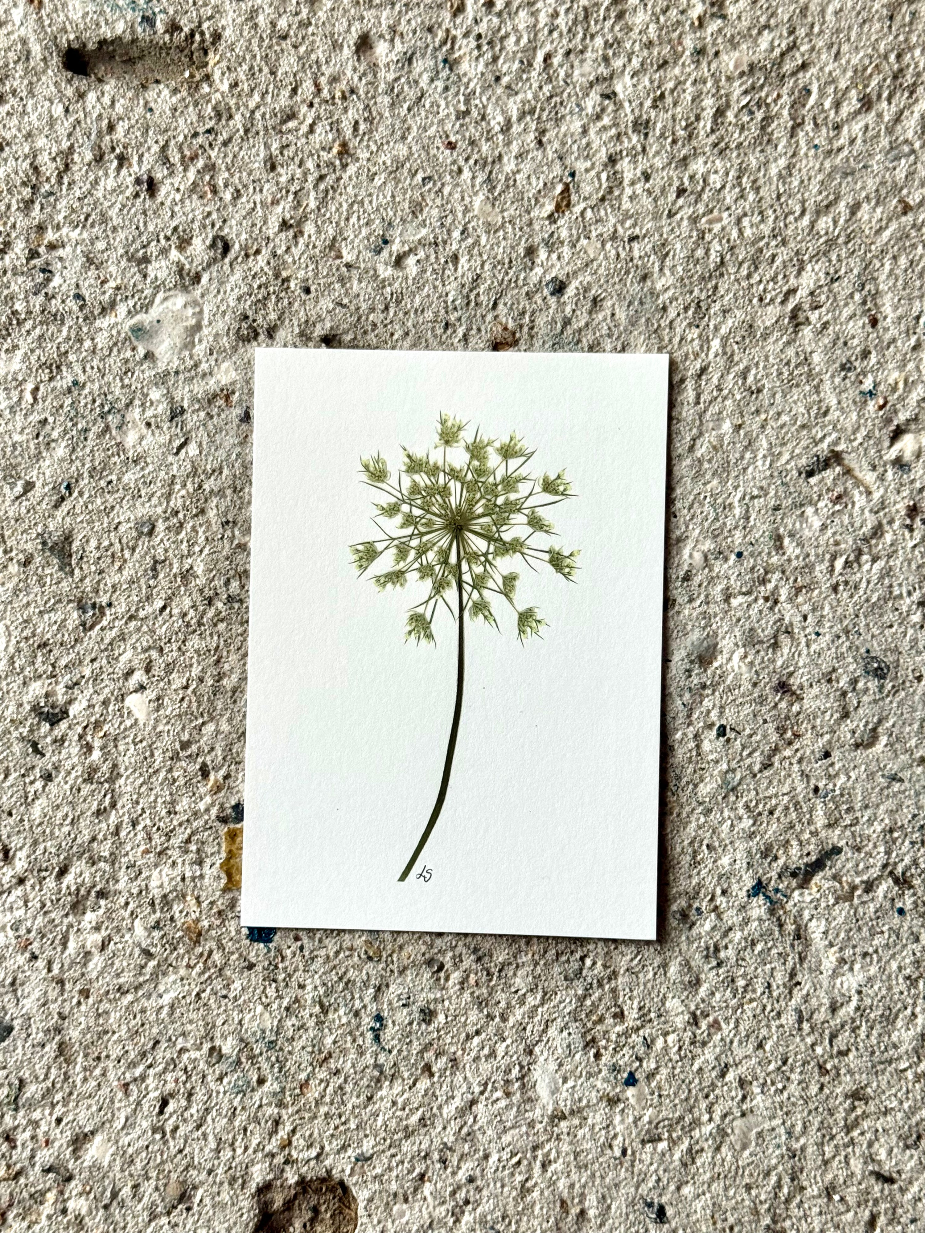 Blomsterprint A6 kort - 21