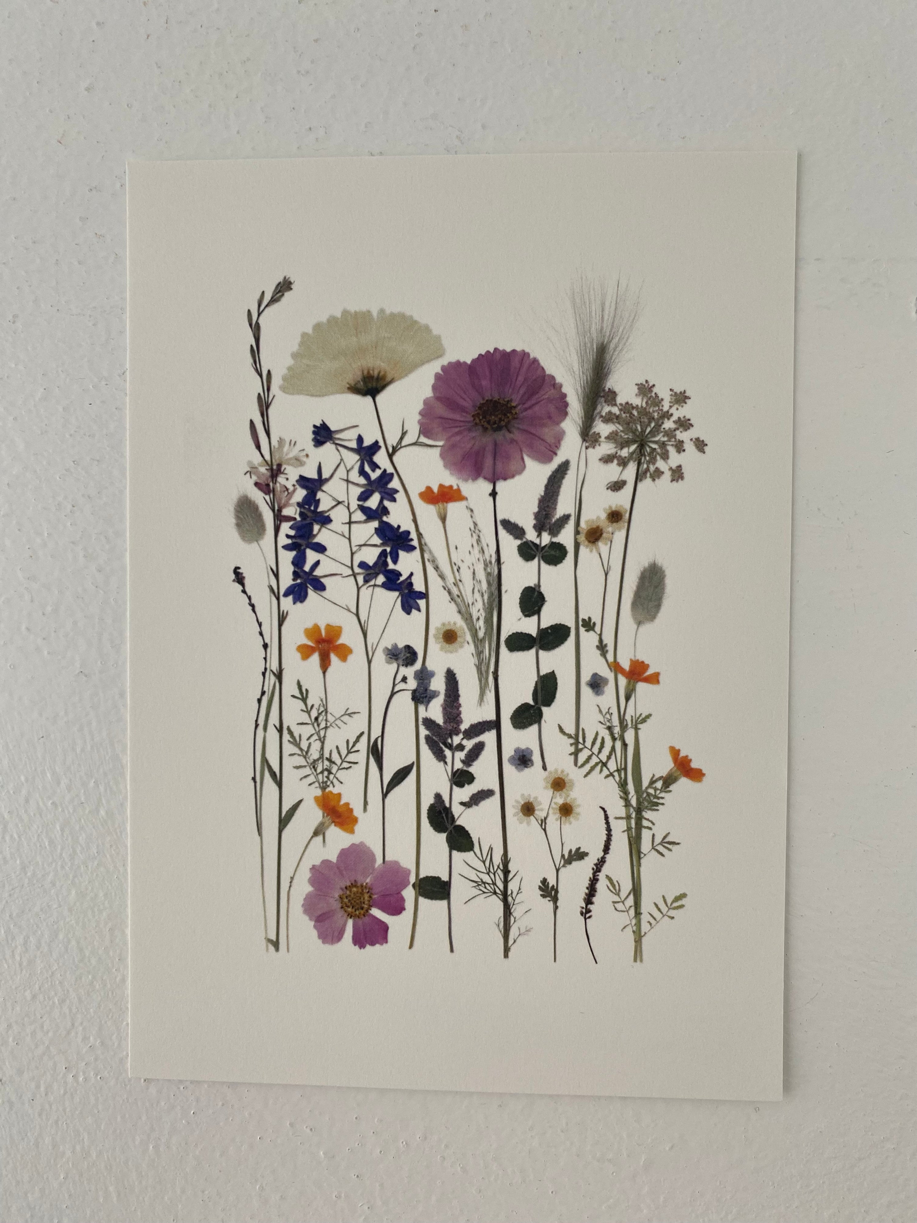 Blomsterprint A6 kort